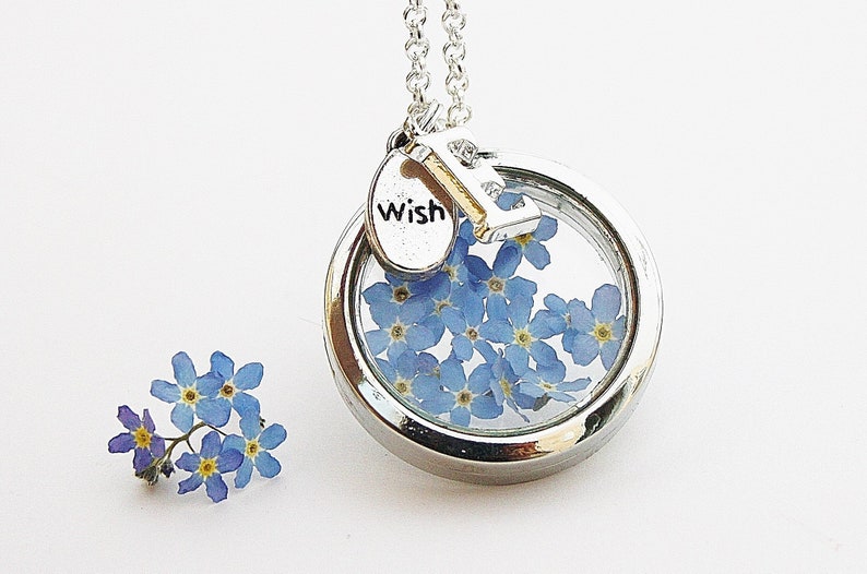 Real forget-me-not medallion necklace initial blue medallion necklace flower jewelry farewell gift pendant silver flowers boho girlfriend image 1