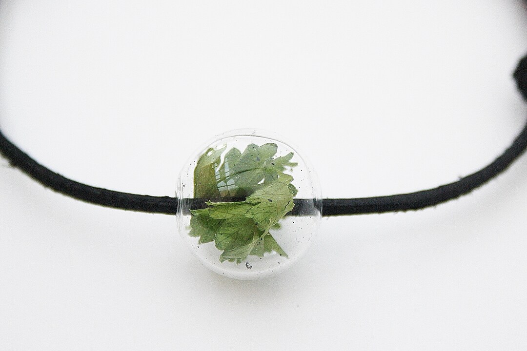 Real Parsley Chain Leather Parsley Wedding Wedding Anniversary Men's