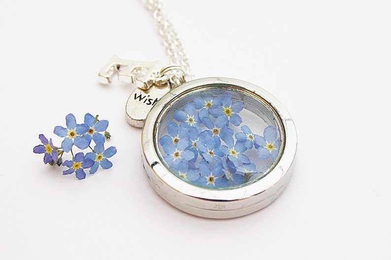 Real forget-me-not medallion necklace initial blue medallion necklace flower jewelry farewell gift pendant silver flowers boho girlfriend image 3