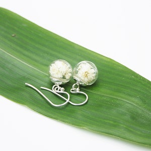 Gypsophila earrings silver 925 ivory, bridal jewelry with real flowers in boho style, optionally with real dark green moss image 4