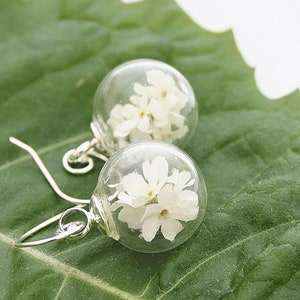 Myosotis blanc boucles doreilles 925 argent mariage bijoux de mariée bridal fleur boucle doreille clou fleur de boucles doreilles Brisur boho bohostyle image 2