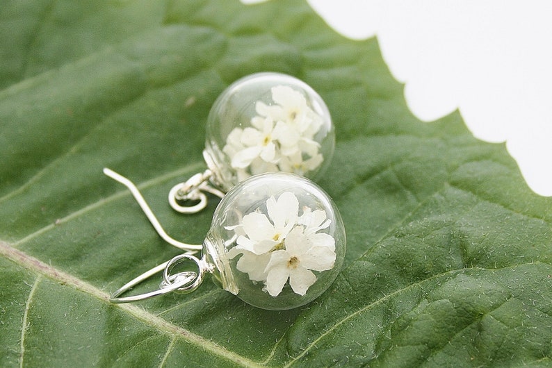 Myosotis blanc boucles doreilles 925 argent mariage bijoux de mariée bridal fleur boucle doreille clou fleur de boucles doreilles Brisur boho bohostyle image 2