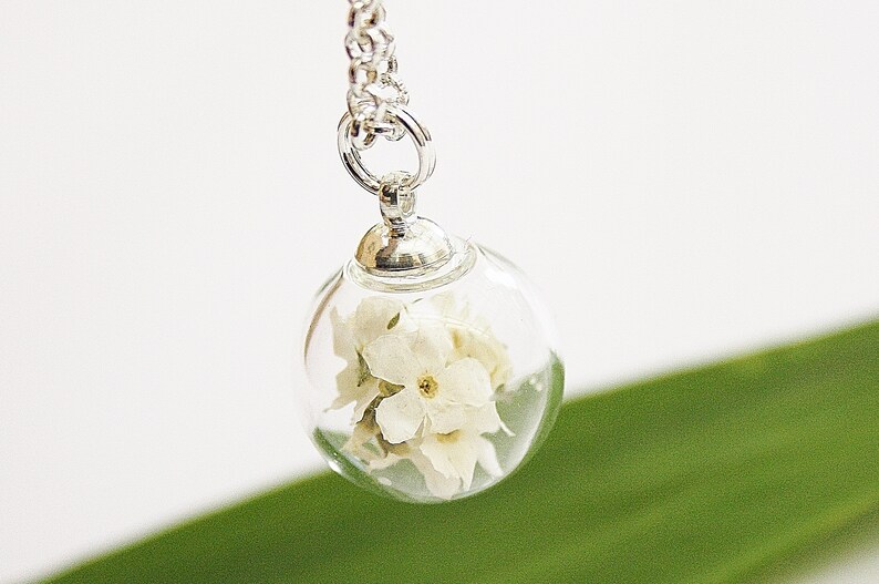 Real forget-me-not necklace white bridal jewelry gift farewell wife mother's day flower jewelry bridesmaid bridesmaid boho image 1