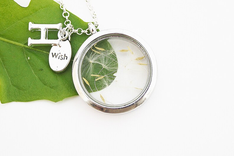 Pusteblume Medaillon Kette personalisierbar Anhänger silber wish Wünschen Wunsch Medaillonkette Blütenkette Blütenschmuck boho bohostyle Bild 4