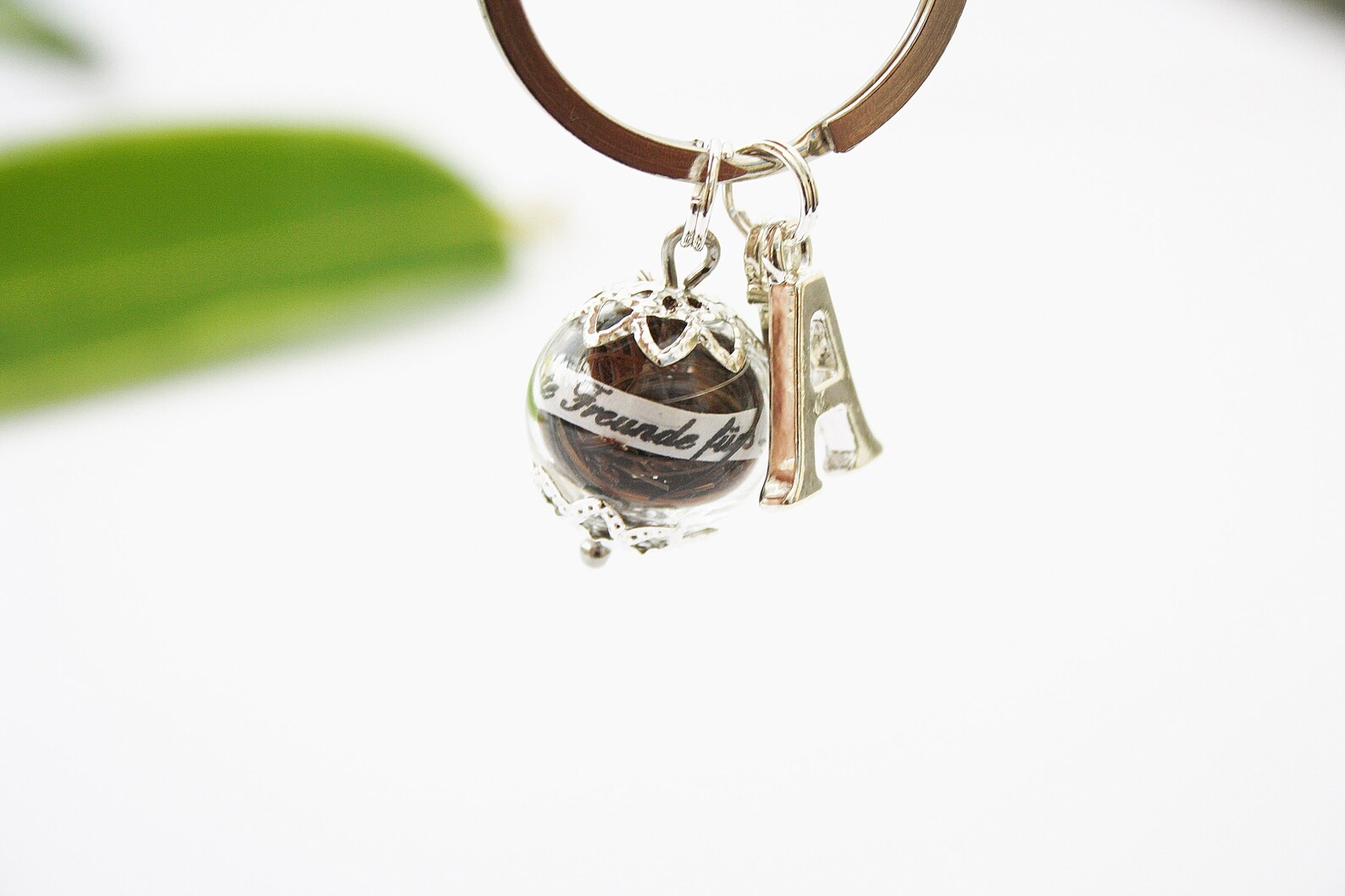 Hundehaar Sammler Schlüsselanhänger | Transparente Haaraffebewahrungsbox | Erinnerungsstück Für Verstorbene Haustiere | Niedliches Andenken Für Hunde- & Katzenhaare