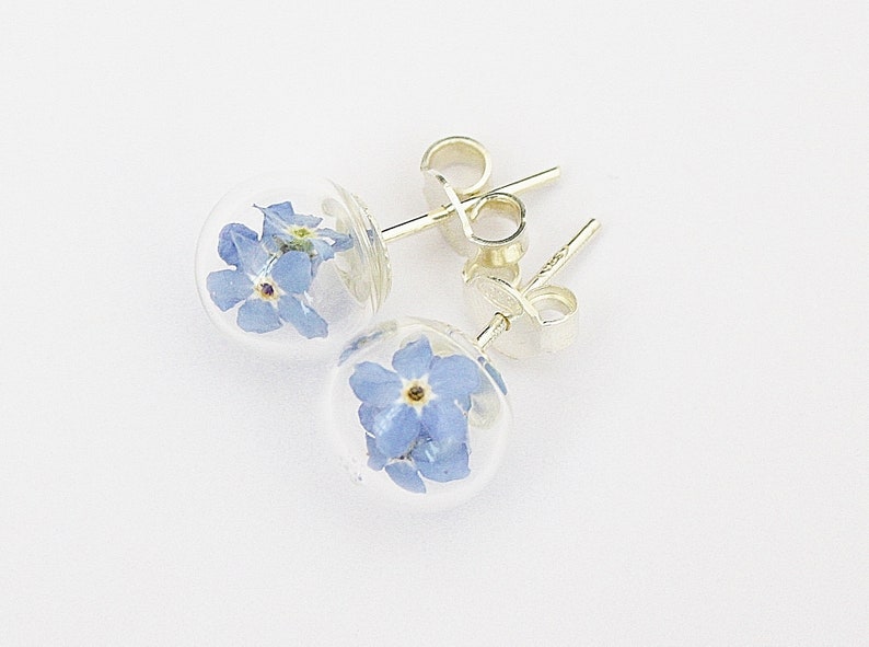 Echte vergeet-mij-niet stud oorbellen 925 zilveren blauwe bruidssieraden bruidsbloem sieraden boho boho stijl bloem stud oorbellen bevestiging doopsel afbeelding 3