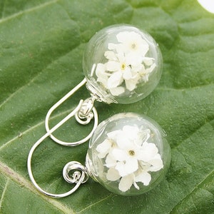 Myosotis blanc boucles doreilles 925 argent mariage bijoux de mariée bridal fleur boucle doreille clou fleur de boucles doreilles Brisur boho bohostyle image 1