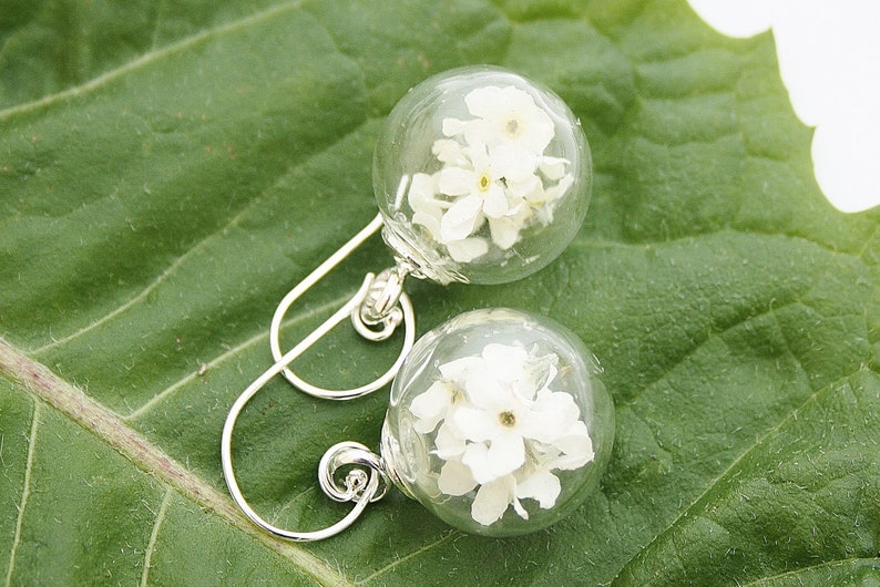 Myosotis blanc boucles doreilles 925 argent mariage bijoux de mariée bridal fleur boucle doreille clou fleur de boucles doreilles Brisur boho bohostyle image 1