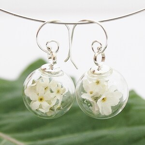 Myosotis blanc boucles doreilles 925 argent mariage bijoux de mariée bridal fleur boucle doreille clou fleur de boucles doreilles Brisur boho bohostyle image 3