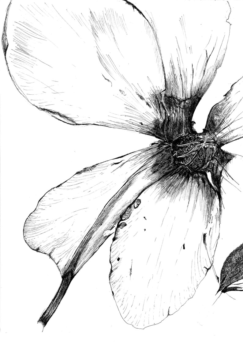 Black and white botanical print Etsy
