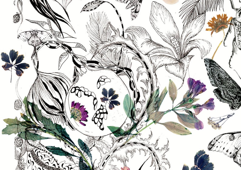 A3 Pressed Flower Botanical Print Etsy