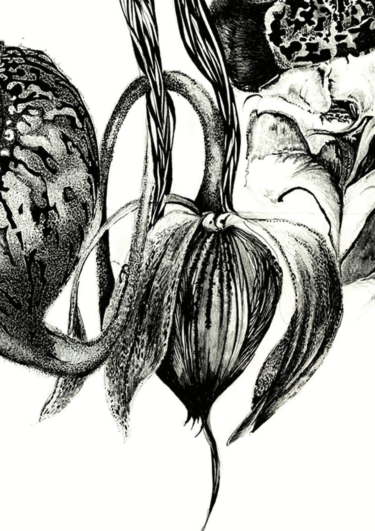 Poisonous Flowers Botanical Illustration Etsy Sweden