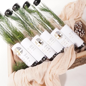 Let Love Grow Wedding Favor | Pine Seedling Wedding Favor | Gift Tree Wedding Favor | Spruce Rustic Wedding Favor | Bridal Shower Favor