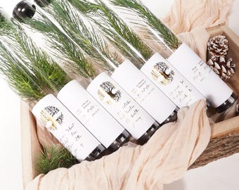 Let Love Grow Wedding Favor | Pine Tree Wedding Favor | Gift Tree Wedding Favor | Nature Inspired Wedding | Bridal Shower Favor