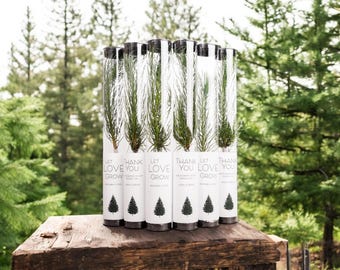 Let Love Grow Wedding Favor | Pine Tree Wedding Favor | Gift Tree Wedding Favor | Unique Party Favor | Bridal Shower Favor