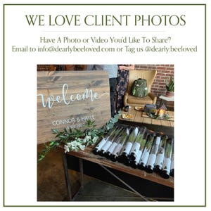 BULK 100 Let Love Grow Wedding Favor | Pine Seedling Wedding Favor | Gift Tree Wedding Favor | Spruce Wedding Favor | Bridal Shower Favor imagen 11