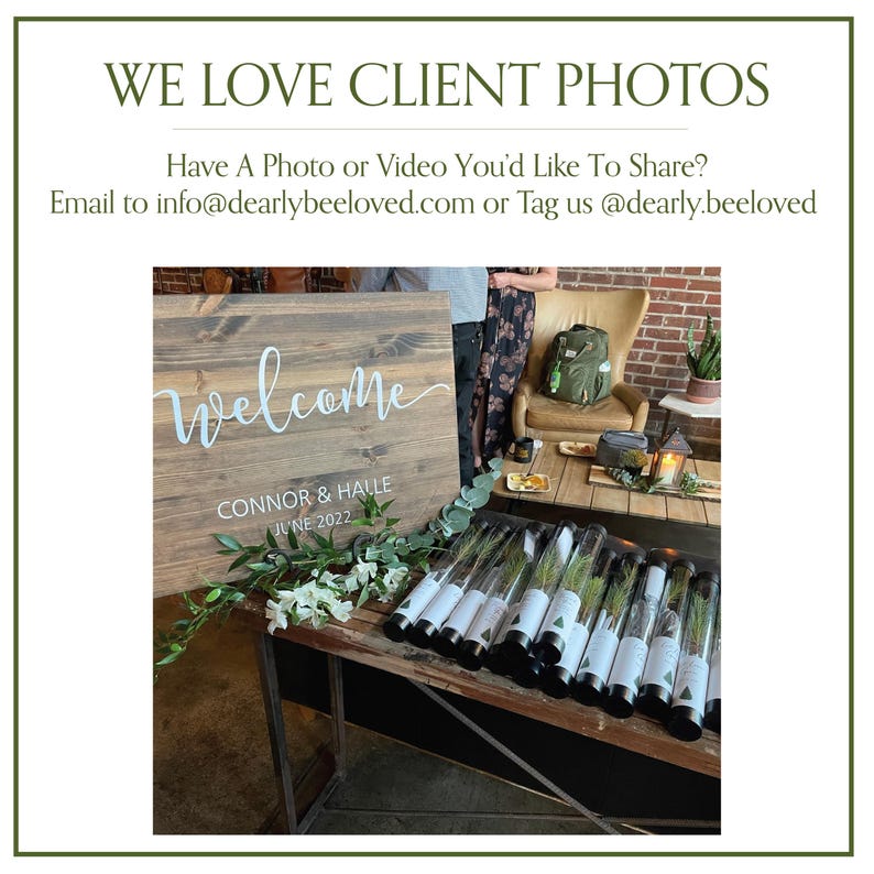 BULK 100 Let Love Grow Wedding Favor | Pine Seedling Wedding Favor | Gift Tree Wedding Favor | Spruce Wedding Favor | Bridal Shower Favor imagen 11
