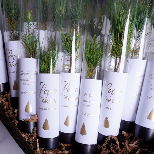 Let Love Grow Wedding Favor | Pine Tree Wedding Favor | Gift Tree Wedding Favor | Nature Inspired Wedding | Bridal Shower Favor