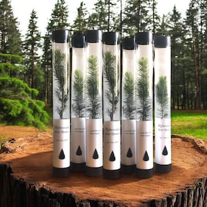 Baby Shower Favors | Gift Tree Favors | Seedling Shower Favor | Sprinkle Favor | Pine Seedling Favor | Spruce Seedling | Baby in Bloom
