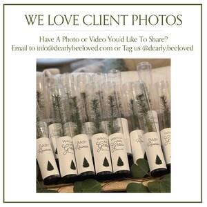 BULK 100 Let Love Grow Wedding Favor | Pine Seedling Wedding Favor | Gift Tree Wedding Favor | Spruce Wedding Favor | Bridal Shower Favor imagen 14