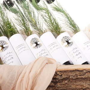May include: A wooden box holds several glass tubes, each containing a small evergreen plant. The tubes have white labels with a gold tree design and text. The text reads, "Please plant this tree in Loving Memory of..." and a quote.