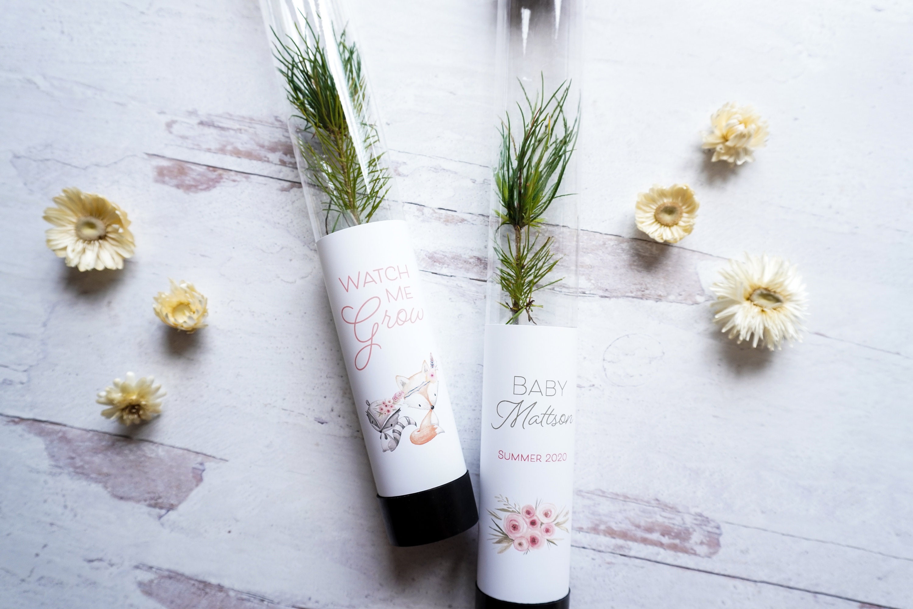 Baby Shower Party Favors | Sprinkle Party Favor | Pine Tree Favor | Baby in Bloom Party Favor | Little Sprout Baby Shower