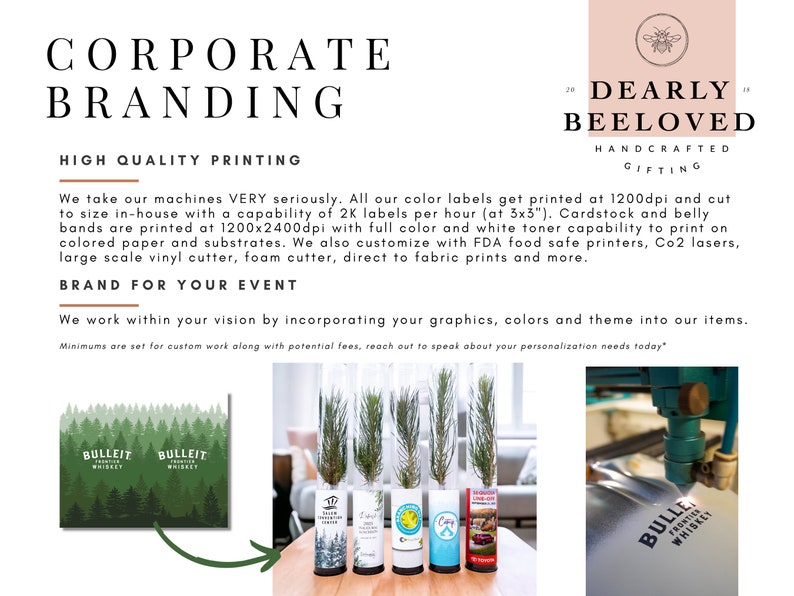 BULK 100 Let Love Grow Wedding Favor | Pine Seedling Wedding Favor | Gift Tree Wedding Favor | Spruce Wedding Favor | Bridal Shower Favor