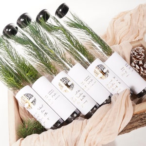 Let Love Grow Wedding Favor | Pine Seedling Wedding Favor | Gift Tree Wedding Favor | Spruce Rustic Wedding Favor | Bridal Shower Favor