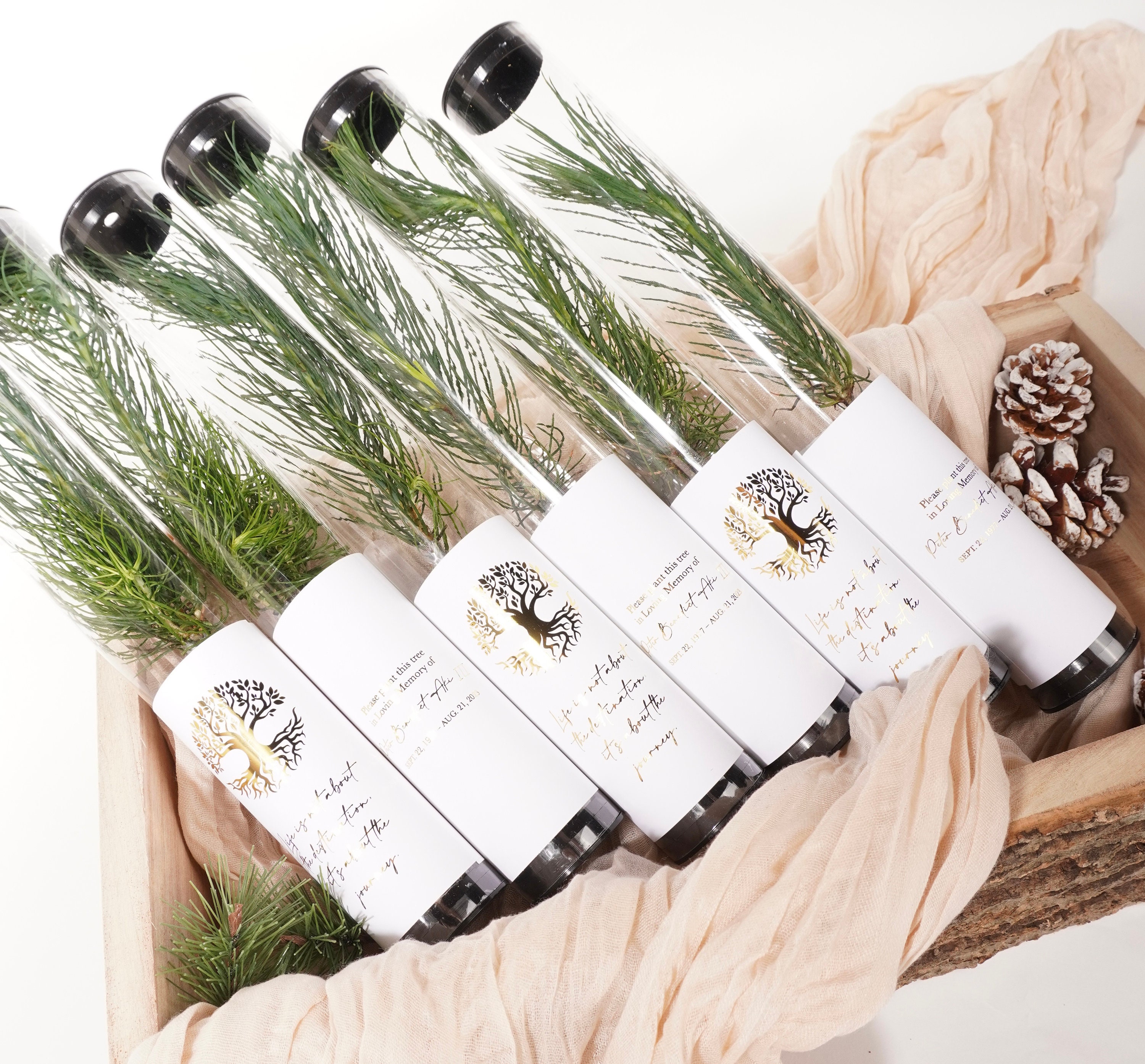 Pine Tree Wedding Favor