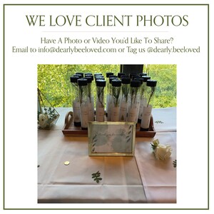 BULK 100 Let Love Grow Wedding Favor | Pine Seedling Wedding Favor | Gift Tree Wedding Favor | Spruce Wedding Favor | Bridal Shower Favor imagen 20
