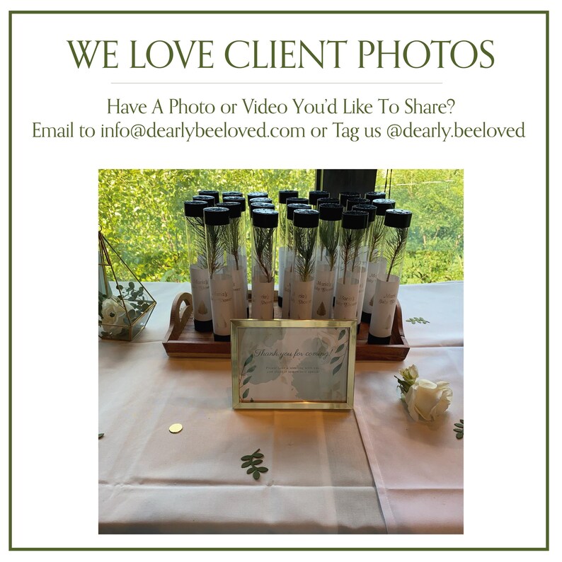 BULK 100 Let Love Grow Wedding Favor | Pine Seedling Wedding Favor | Gift Tree Wedding Favor | Spruce Wedding Favor | Bridal Shower Favor imagen 20