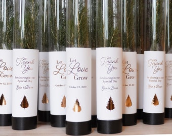 Let Love Grow Wedding Favor | Pine Seedling Wedding Favor | Gift Tree Wedding Favor | Spruce Rustic Wedding Favor | Bridal Shower Favor