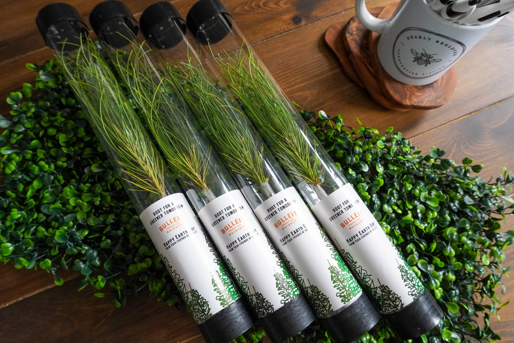 Let Love Grow Pine Seedling Let Love Grow Pine Seedling