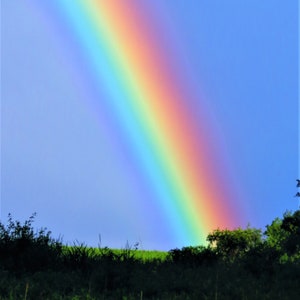 May include: A vibrant rainbow arching across a blue sky, with green foliage in the foreground.