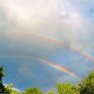 Puede incluir: Un doble arcoíris se arquea en un cielo nublado, con árboles verdes en primer plano.
