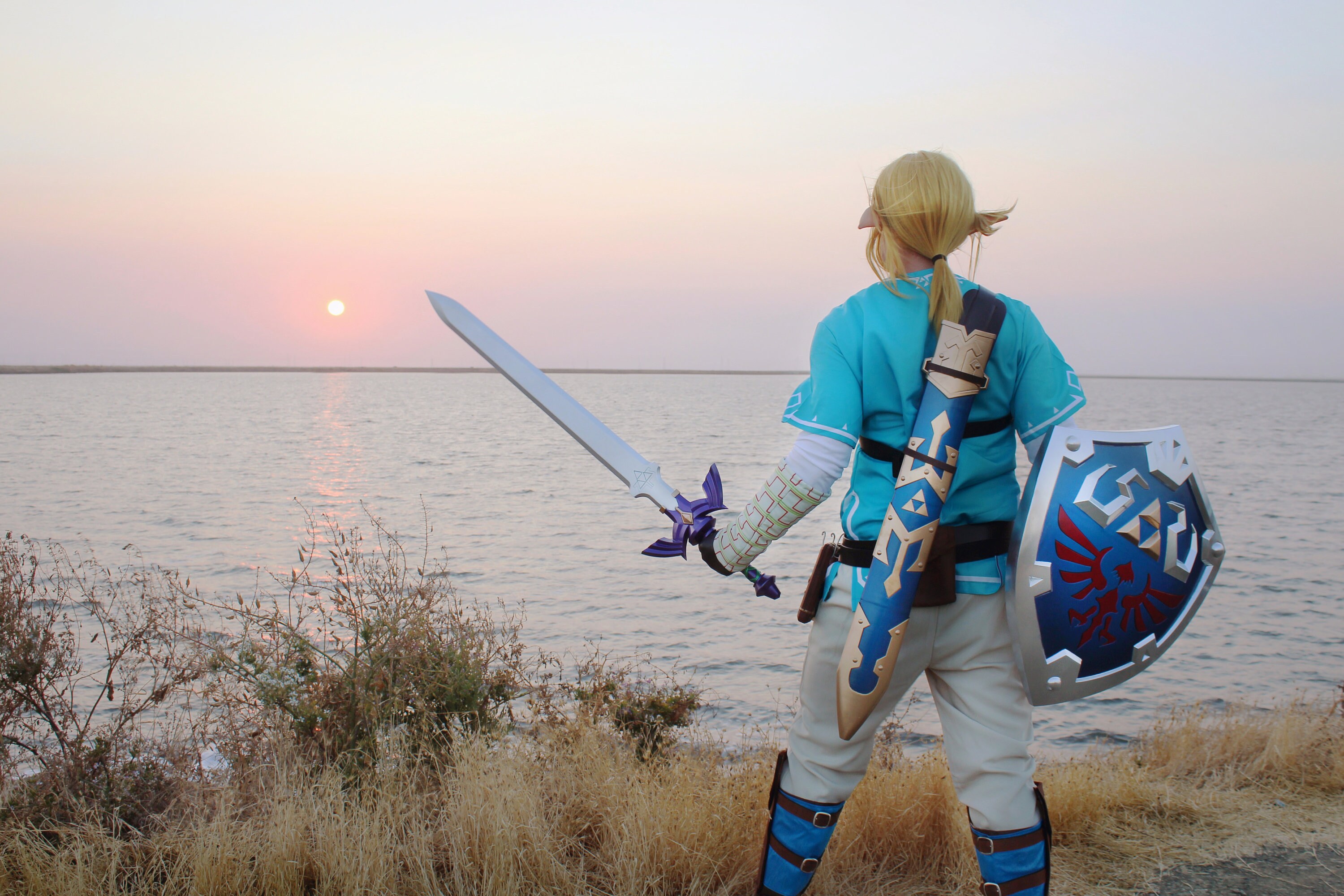 Legend of Zelda Link Cosplay with Hylian Shield + Master Sword DIY