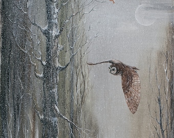 Barn Owl Flight