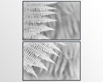 Fern Fronds I and II - Botanical Leaf Print in Black & White or Sepia. Wall Art Poster. Photographic Giclée Print by Alan Copson.