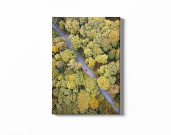 Autumn Roadtrip #1 - Lake District Landscape by Alan Copson - Canvas Print, or Framed/Unframed Giclée Photographic Print Wall Art