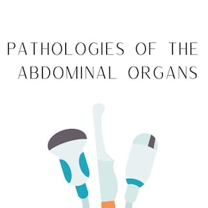 Könnte beinhalten: Drei medizinische Ultraschallköpfe, einer mit einem blau-grauen Griff, einer mit einem weißen Griff und einer mit einem hellblauen Griff. Die Köpfe sind mit Kabeln verbunden. Der Text "PATHOLOGIES OF THE ABDOMINAL ORGANS" befindet sich oben im Bild.