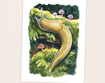 Banana Slug - Pacific Crest Trail Thru Hike  - Fine Art Print