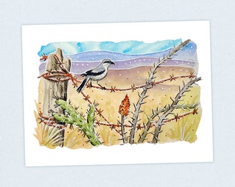 Loggerhead Shrike - Continental Divide Trail - Fine Art Print