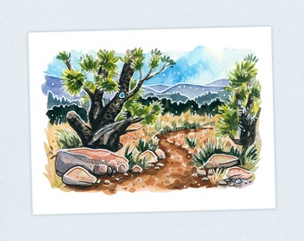 Gila Wilderness - Continental Divide Trail - Fine Art Print