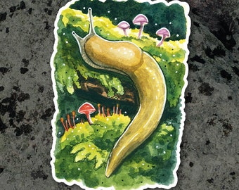 Sticker - Banana Slug