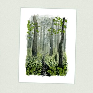 Green Tunnel - Appalachian Trail Thru Hike  - Fine Art Print