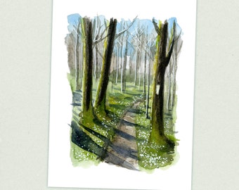 Smoky Mountains - Appalachian Trail Thru Hike  - Fine Art Print