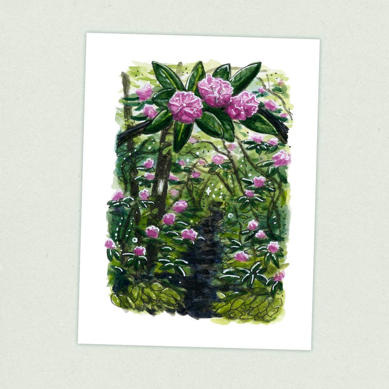 Appalachian Trail Thruhike Art Print Rhododendron