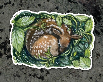 Sticker - Hidden Fawn