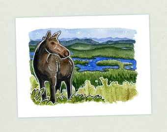 Moose - Appalachian Trail Thru Hike  - Fine Art Print