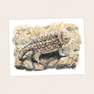 Pacific Crest Trail Thruhike Art Print Horned Toad Reptile Lizard